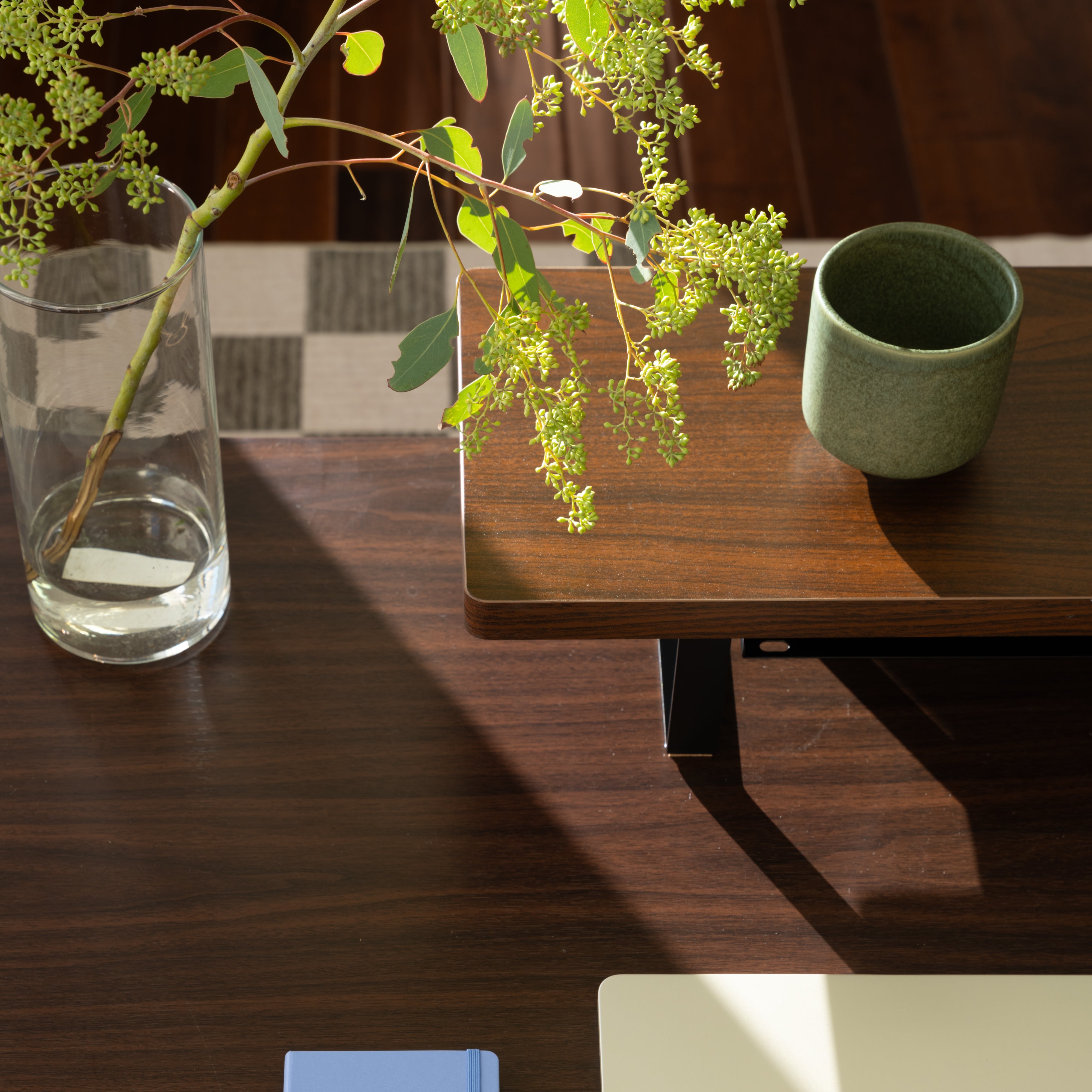 LiftSync Monitor Shelf