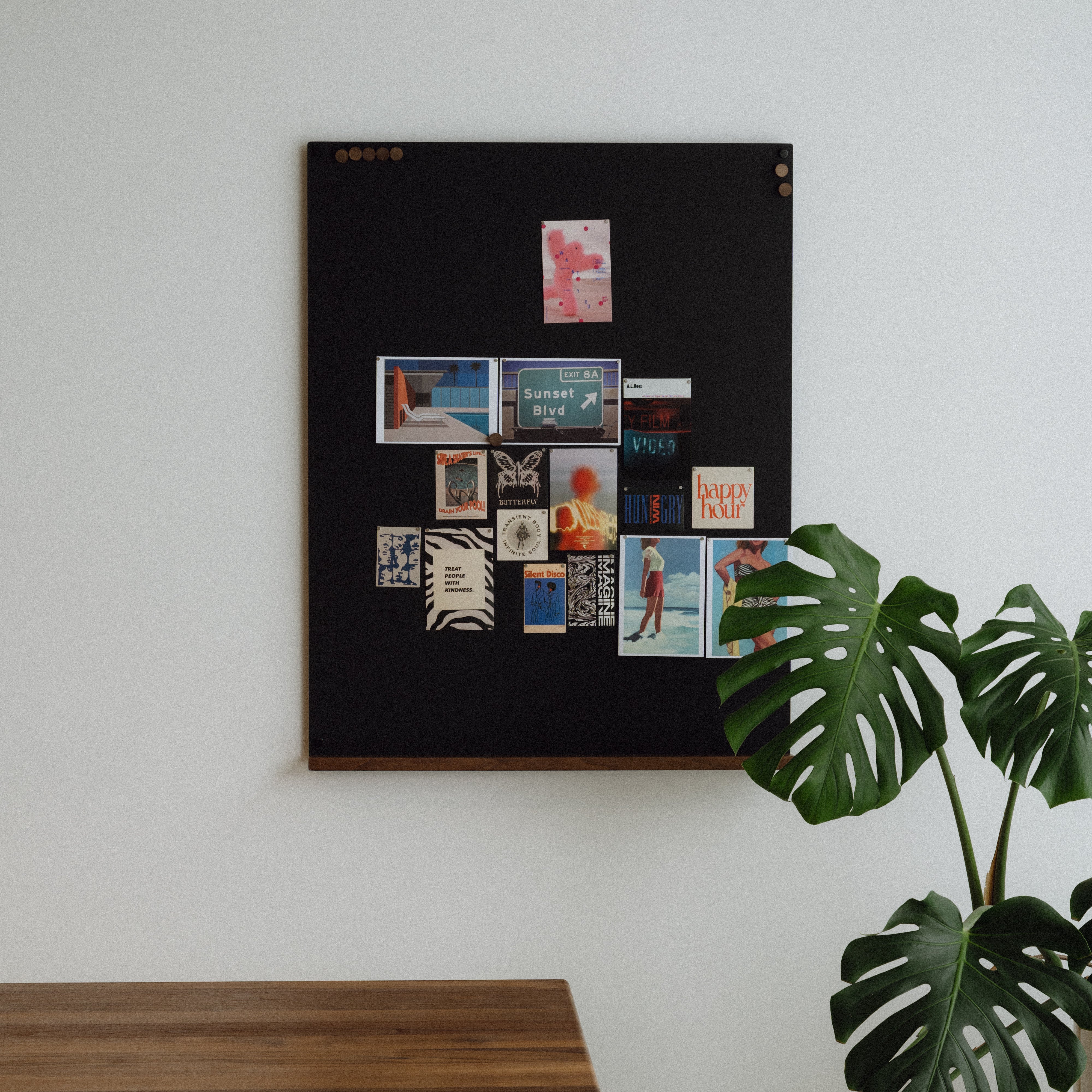 Black magnetic board with various small images on a white wall, next to a plant.