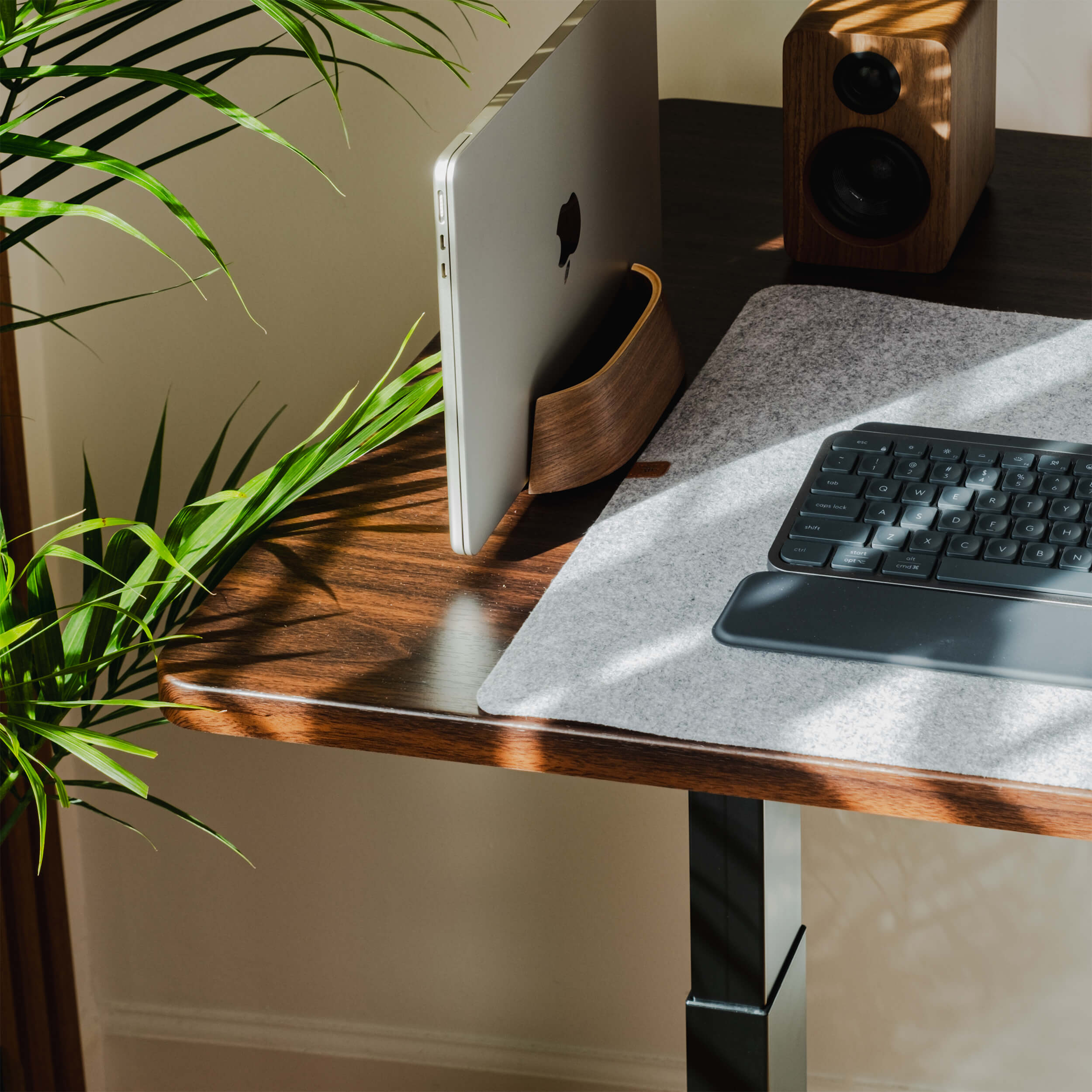 LiftSync Pro Standing Desk