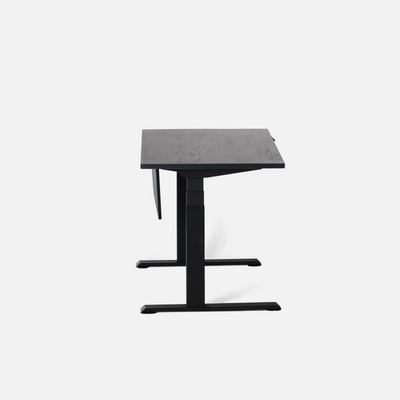 LiftSync Pro Standing Desk