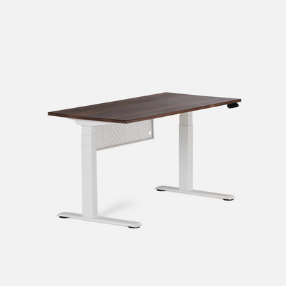 LiftSync Pro Standing Desk