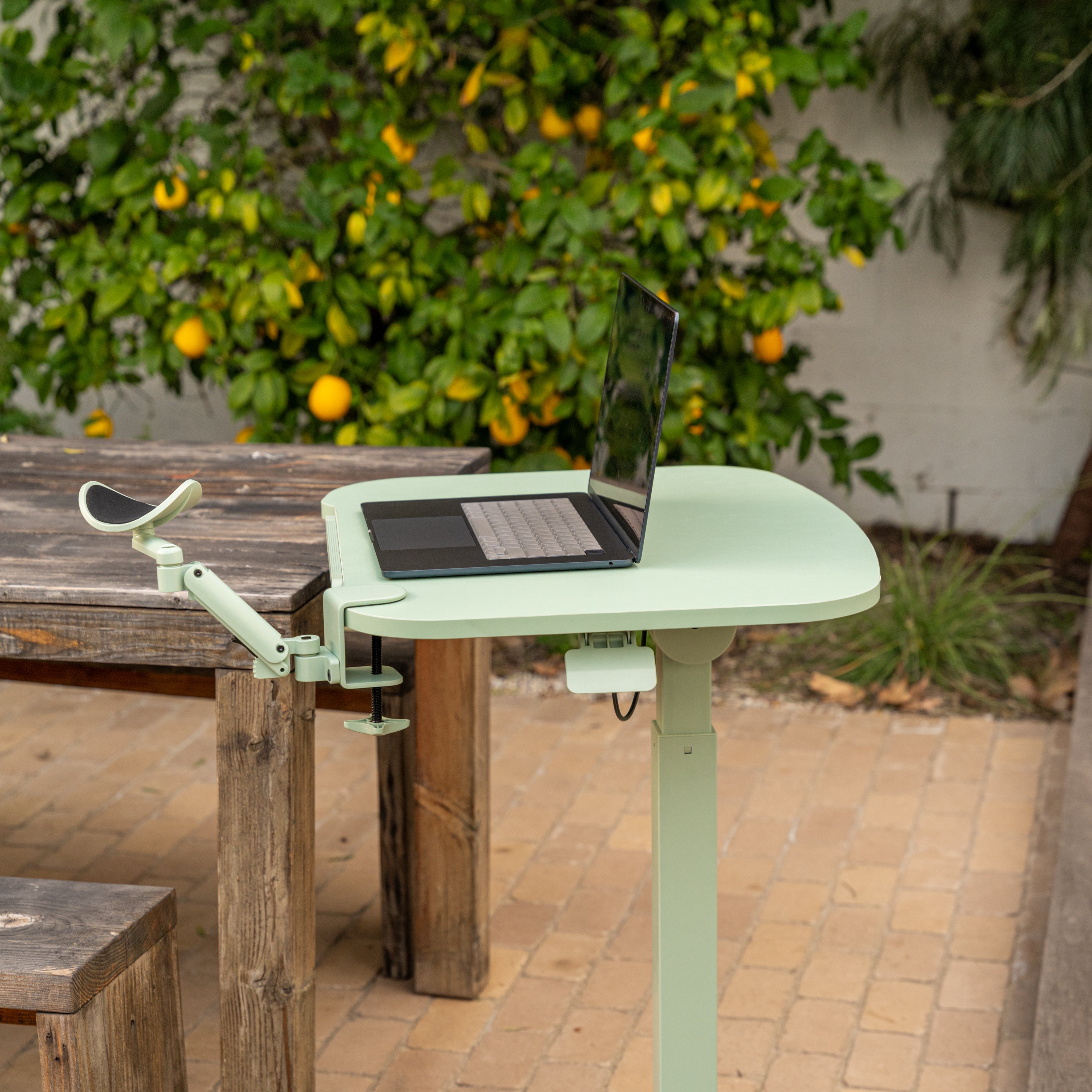Laptop on a adjustable stand outdoors with a tree and oranges in the background
