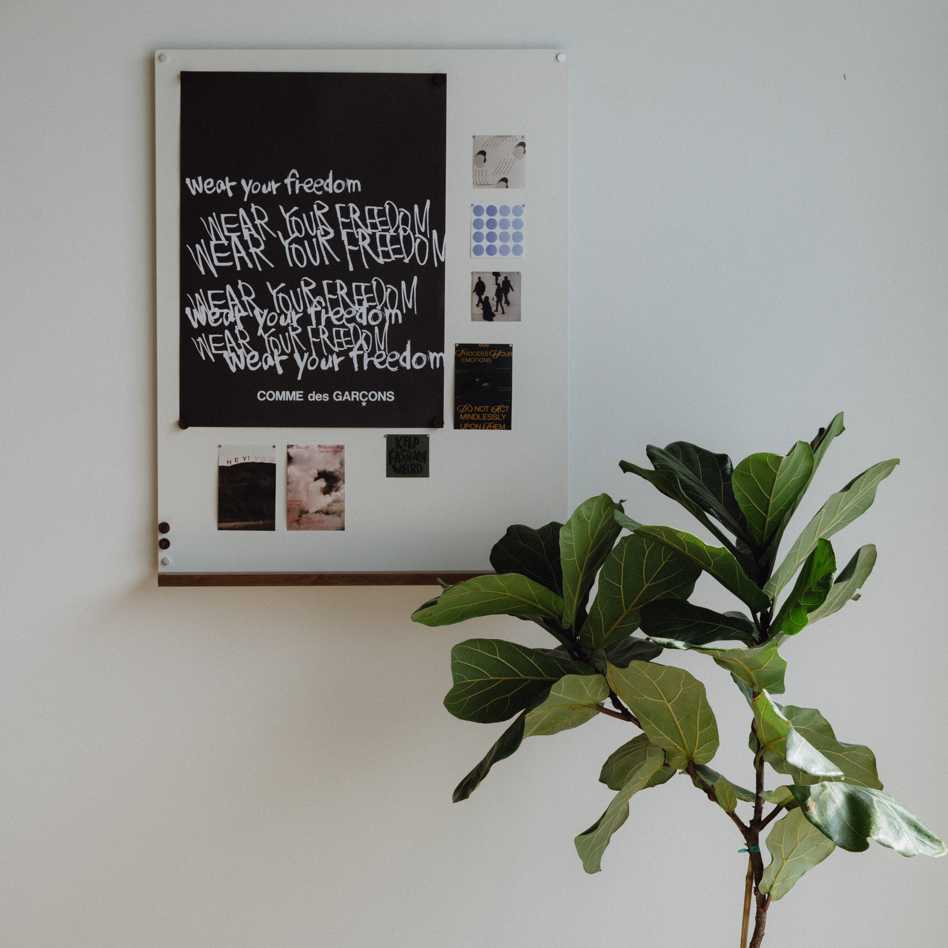Framed artwork with text on a wall next to a potted plant