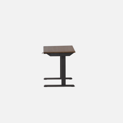 LiftSync Mini Standing Desk
