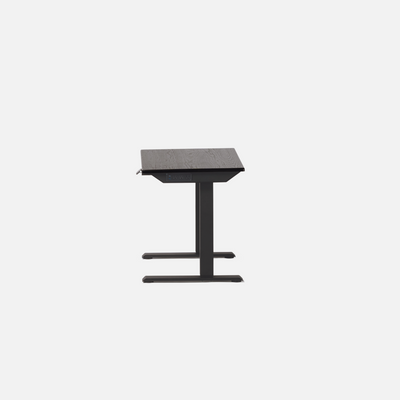 LiftSync Mini Standing Desk