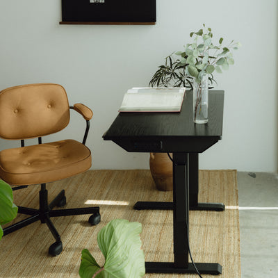 LiftSync Mini Standing Desk