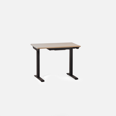 LiftSync Mini Standing Desk