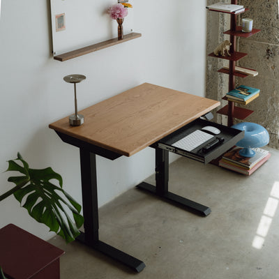 LiftSync Mini Standing Desk