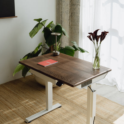 LiftSync Mini Standing Desk