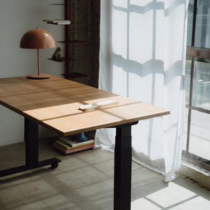 LiftSync Pro Standing Desk