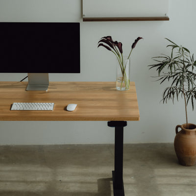 LiftSync Pro Standing Desk