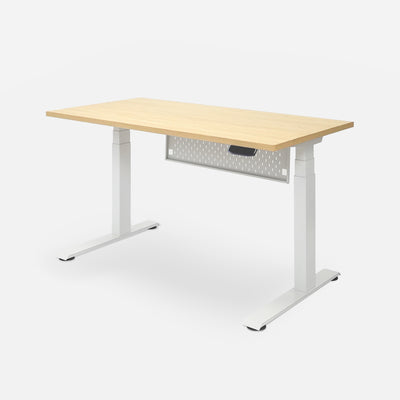 LiftSync Pro Standing Desk 2025