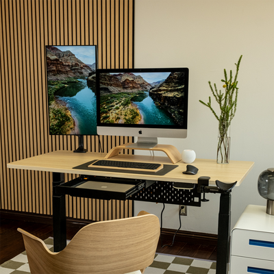 LiftSync Pro Standing Desk 2025